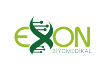 Exon Biyomedikal Naxçıvan Azerbaycan IP Kamera ve Network Kurulumu | Lopus Bilişim
